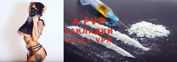 стаф Арсеньев