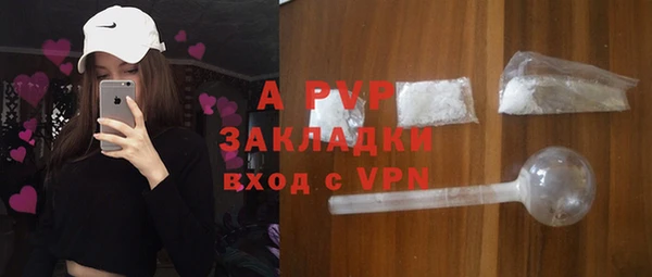 стаф Арсеньев