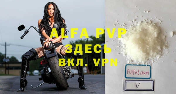 стаф Арсеньев