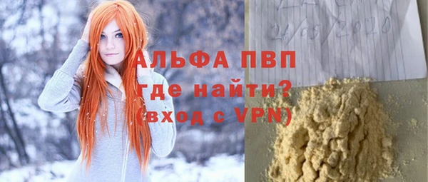 стаф Арсеньев